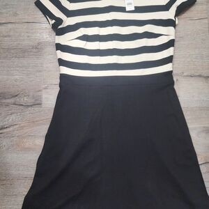 LOFT White And Black New With Tags Dress